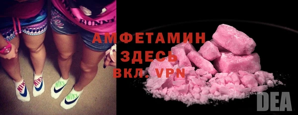прущие грибы Сафоново