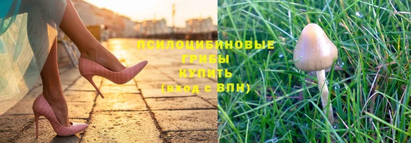 прущие грибы Сафоново