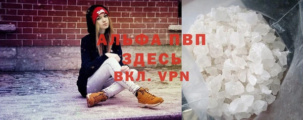 прущие грибы Сафоново