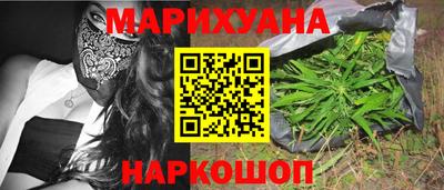шишки Новозыбков