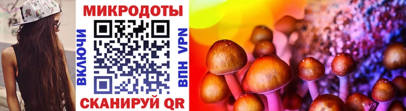 Псилоцибиновые грибы Psilocybe  гидра онион  Юрга  где продают  