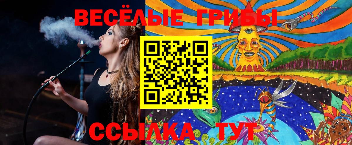 Галлюциногенные грибы Cubensis  Вход с VPN  наркотики  Юрга 