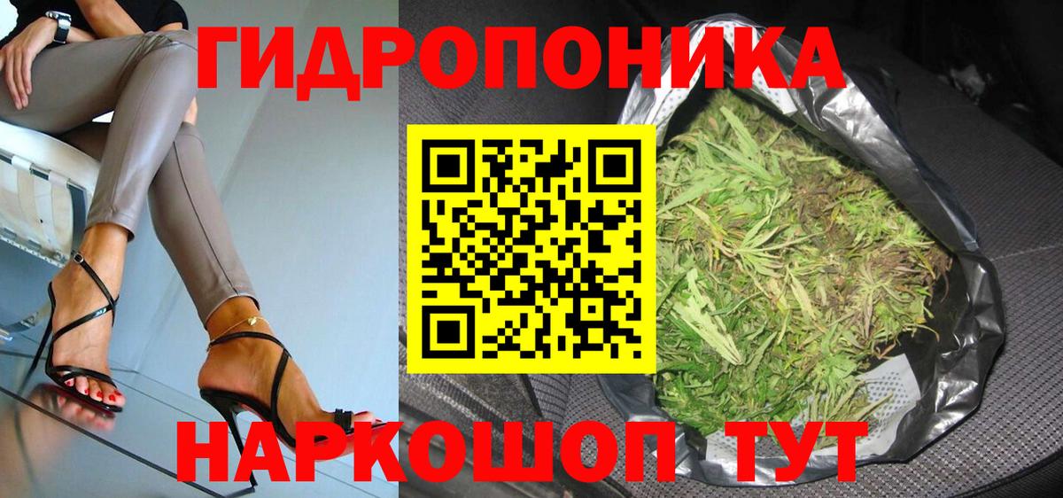 Шишки марихуана план  Бошки Шишки семена  Вход с VPN  Марихуана White Widow  Юрга 
